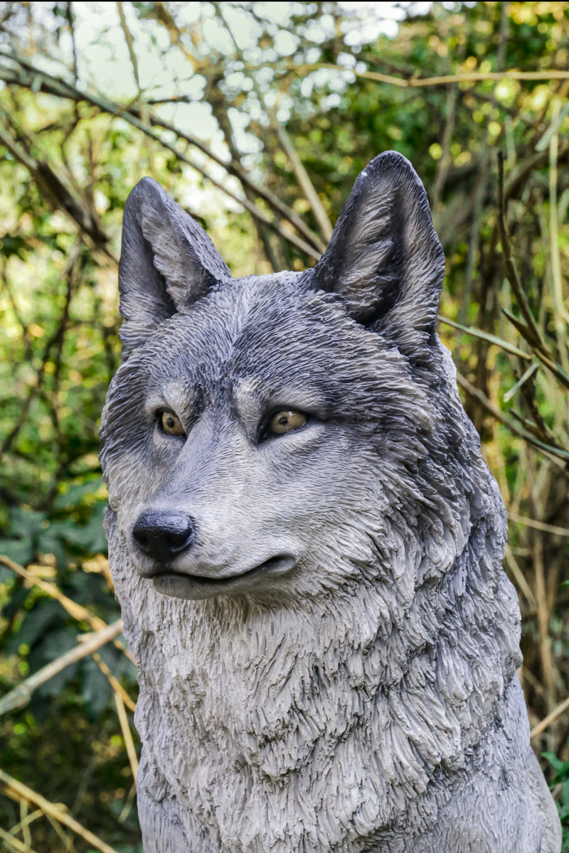 Hi-Line Exclusive - Sitting Grey Wolf Statue HI-LINE GIFT LTD.