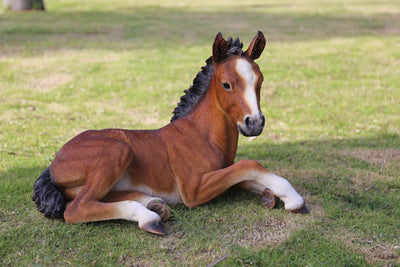 Horse Colt Laying Down Statue HI-LINE GIFT LTD.