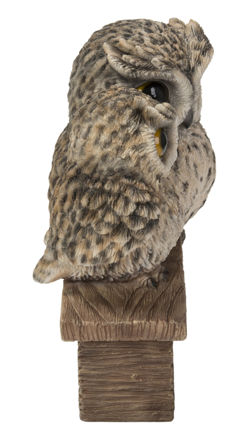 Mother & Baby Owl Welcome Sign HI-LINE GIFT LTD.