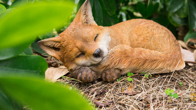 Fox Pup Sleeping Statue HI-LINE GIFT LTD.