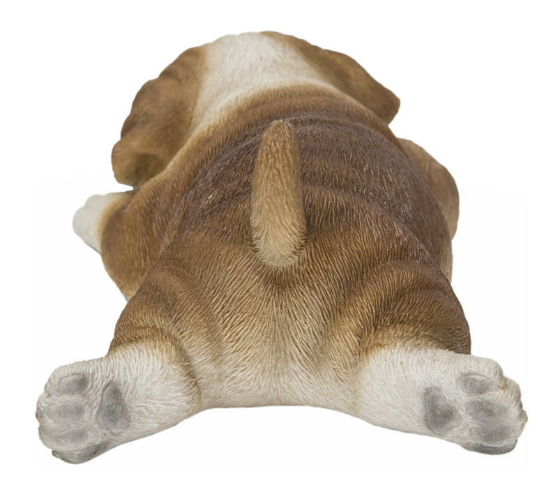 Bulldog Fridge Magnet HI-LINE GIFT LTD.