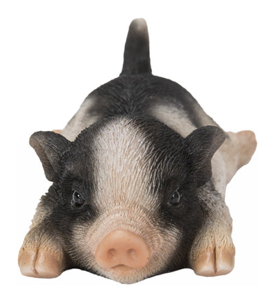 Baby Pig Fridge Magnet HI-LINE GIFT LTD.