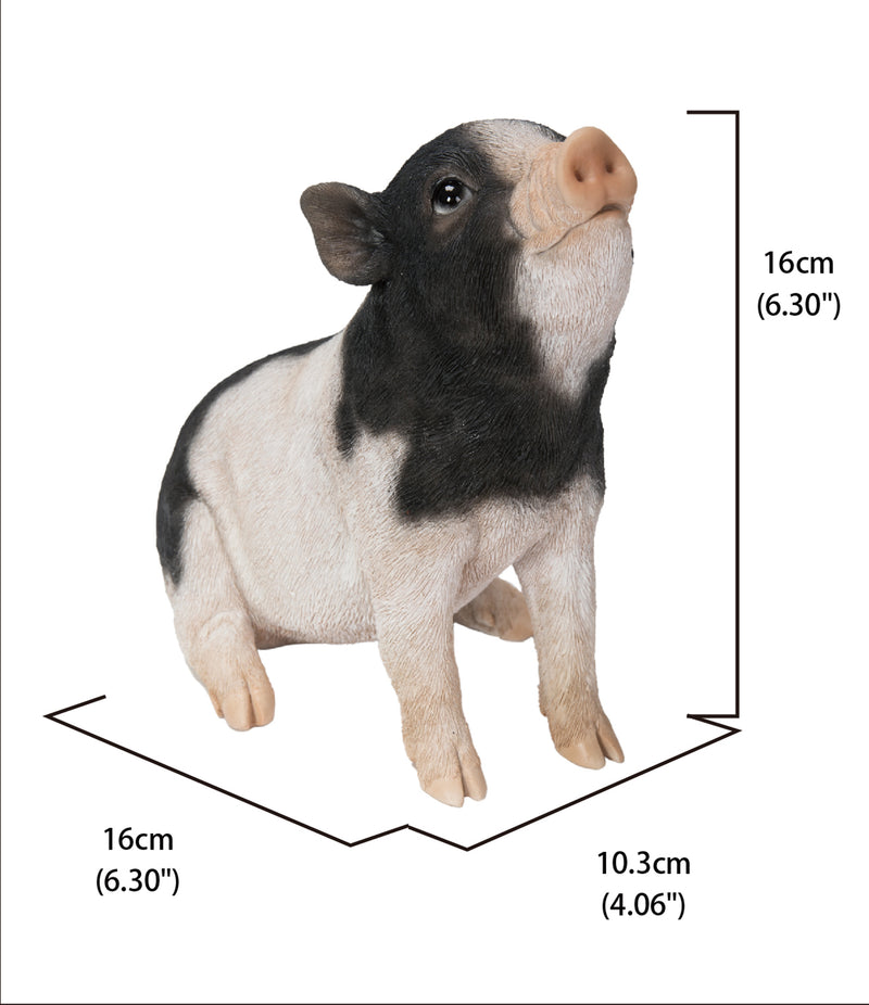 Baby Pig Sitting - Black And White HI-LINE GIFT LTD.