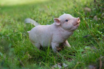 Baby Pig Standing - Pink HI-LINE GIFT LTD.