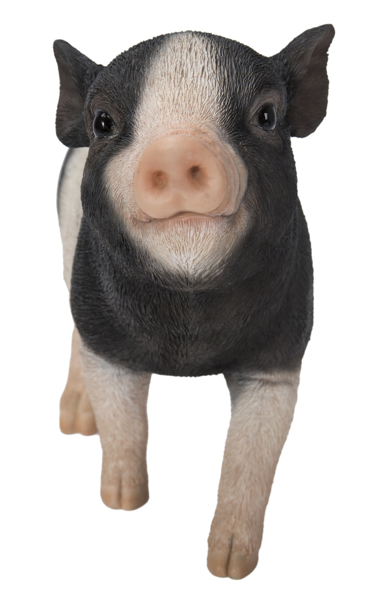 Baby Pig Standing - Black And White HI-LINE GIFT LTD.