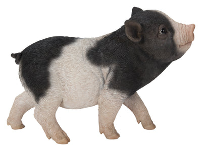 Baby Pig Standing - Black And White HI-LINE GIFT LTD.