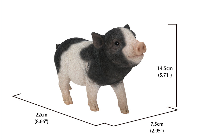 Baby Pig Standing - Black And White HI-LINE GIFT LTD.