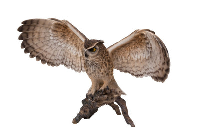 Eagle Owl On Branch W/Wings Out Hi-Line Gift Ltd.