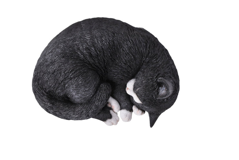 Black/White Cat Sleeping Lying Down HI-LINE GIFT LTD.