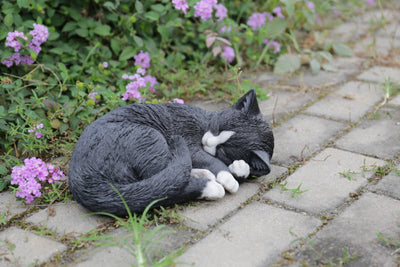 Black/White Cat Sleeping Lying Down HI-LINE GIFT LTD.