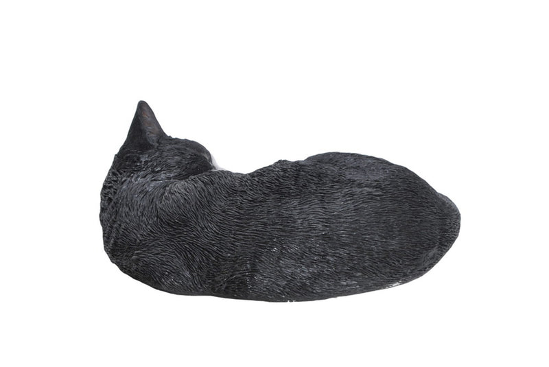 Black/White Cat Sleeping Lying Down HI-LINE GIFT LTD.