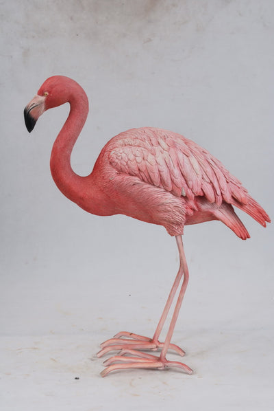 Flamingo Hi-Line Gift Ltd.