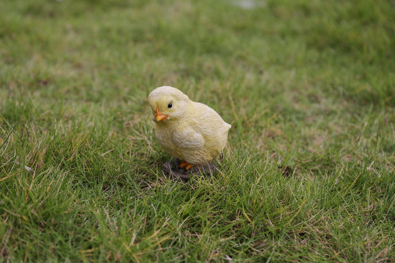 Baby Chicks Pair  One Looking Left, One Looking Right Hi-Line Gift Ltd.