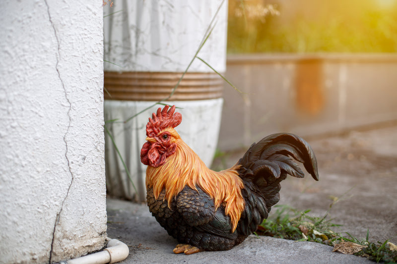 Rooster Squatting Statue HI-LINE GIFT LTD.