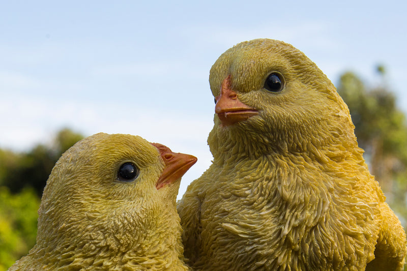 Playful Chicks Garden Statue HI-LINE GIFT LTD.