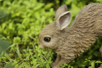 Hare Cub Running Statue HI-LINE GIFT LTD.