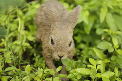 Hare Cub Running Statue HI-LINE GIFT LTD.