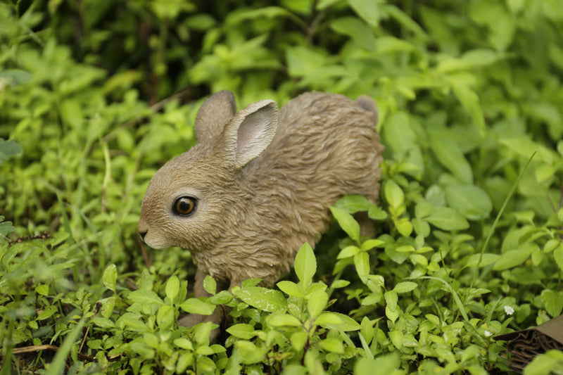 Hare Cub Running Statue HI-LINE GIFT LTD.