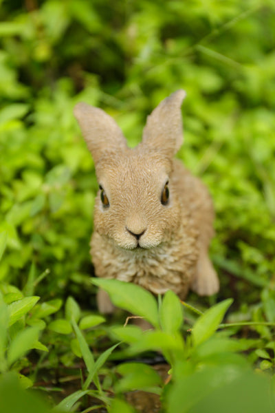 Hare Cub Jumping Statue HI-LINE GIFT LTD.