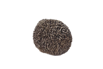 Sitting Hedgehog Hi-Line Gift Ltd.