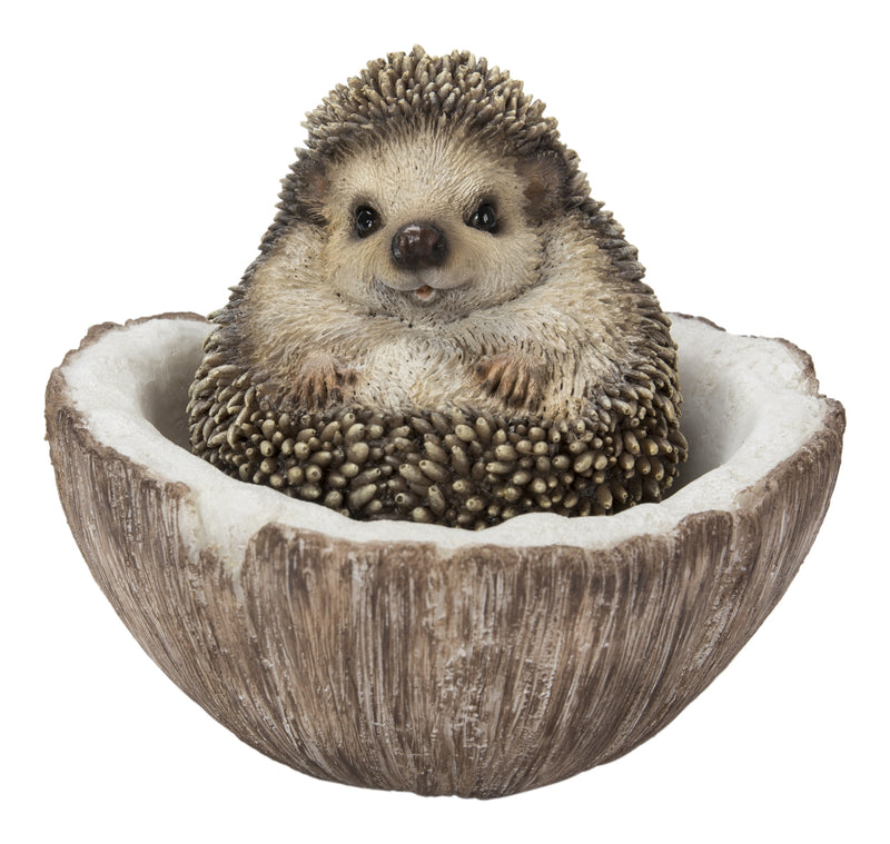 Coconut Hedgehog HI-LINE GIFT LTD.