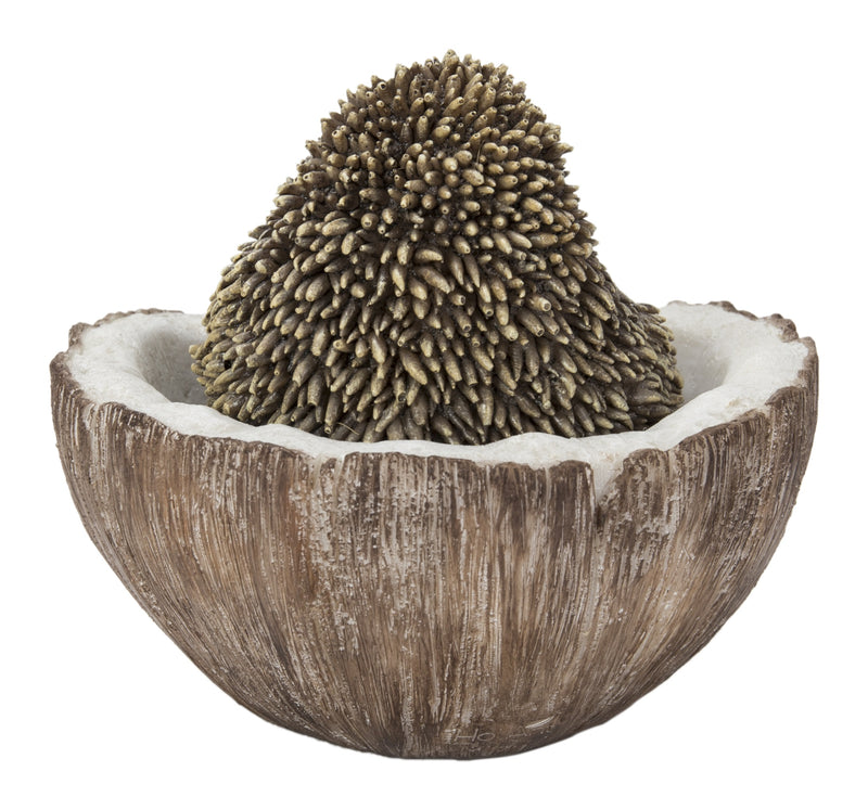 Coconut Hedgehog HI-LINE GIFT LTD.