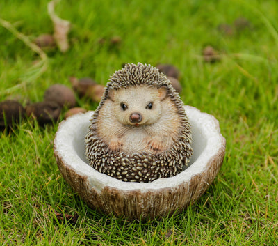 Coconut Hedgehog HI-LINE GIFT LTD.