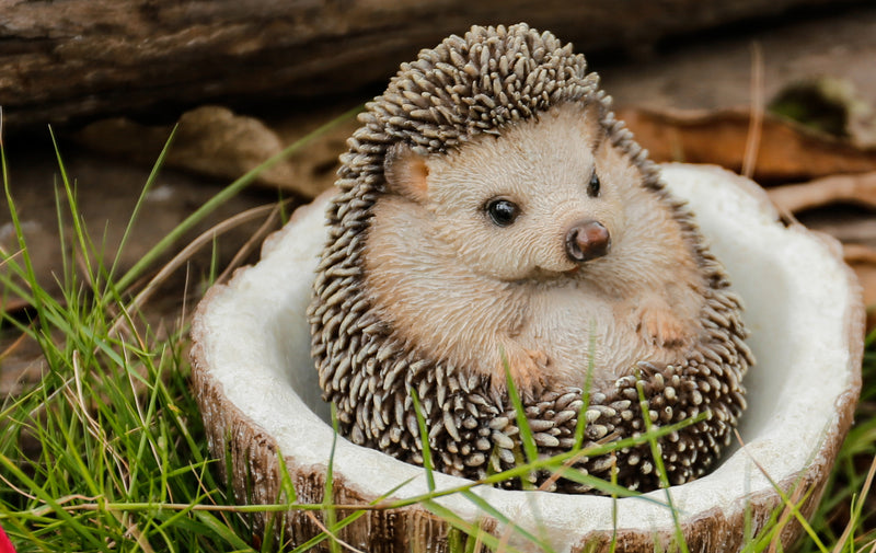 Coconut Hedgehog HI-LINE GIFT LTD.