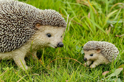 Mother & Baby Hedgehogs HI-LINE GIFT LTD.