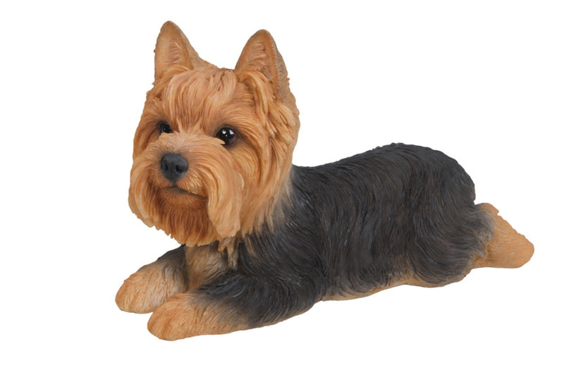 Yorkshire Terrier Lying Down Statue HI-LINE GIFT LTD.