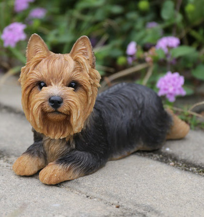 Yorkshire Terrier Lying Down Statue HI-LINE GIFT LTD.