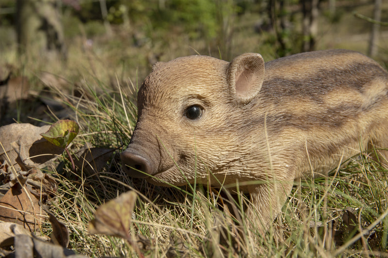 Wild Boar Standing Statue HI-LINE GIFT LTD.