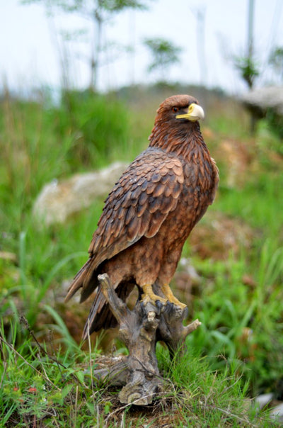 Golden Eagle Statue HI-LINE GIFT LTD.