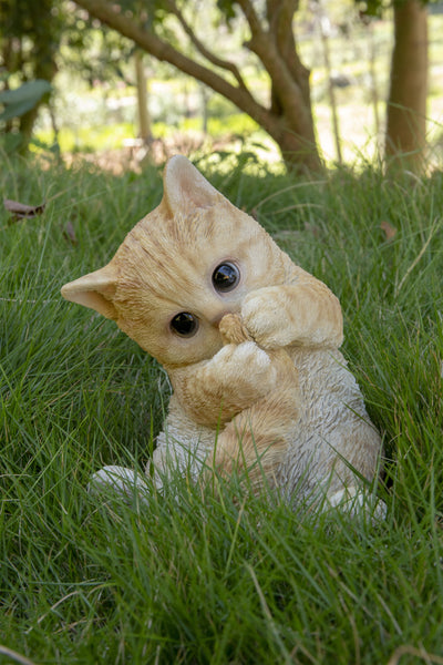 Orange Tabby Kitten Playing with Tail Polyresin Statue HI-LINE GIFT LTD.