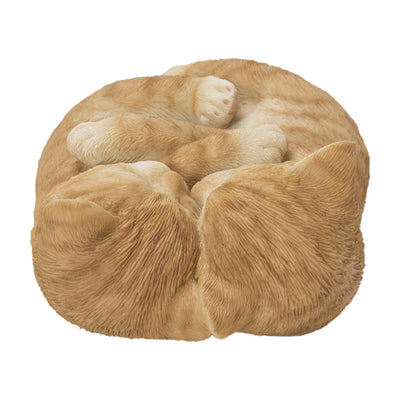 Sleeping Couple Cats - Orange HI-LINE GIFT LTD.