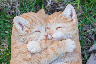 Sleeping Couple Cats - Orange HI-LINE GIFT LTD.