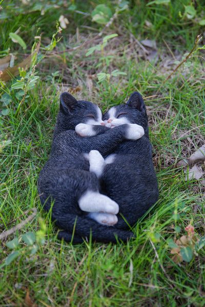 Sleeping Couple Cats - Black And White HI-LINE GIFT LTD.