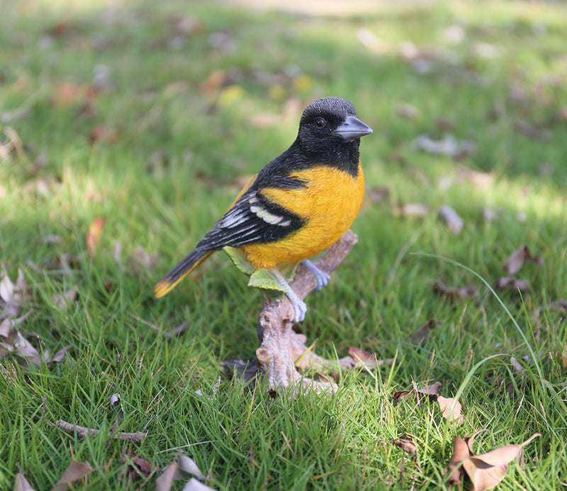 Oriole On Branch Statue Hi-Line Gift Ltd.