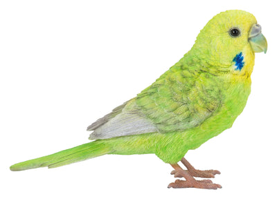 Budgerigar With Iron Foot Green HI-LINE GIFT LTD.