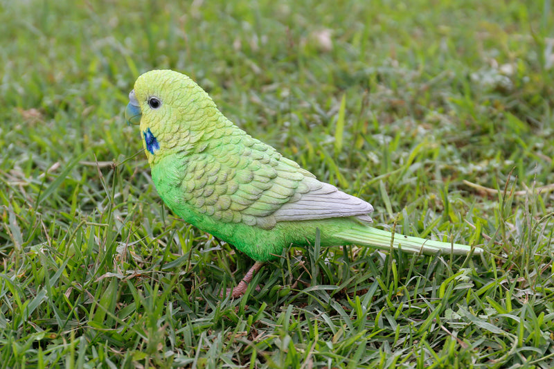 Budgerigar With Iron Foot Green HI-LINE GIFT LTD.