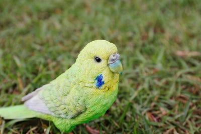 Budgerigar With Iron Foot Green HI-LINE GIFT LTD.