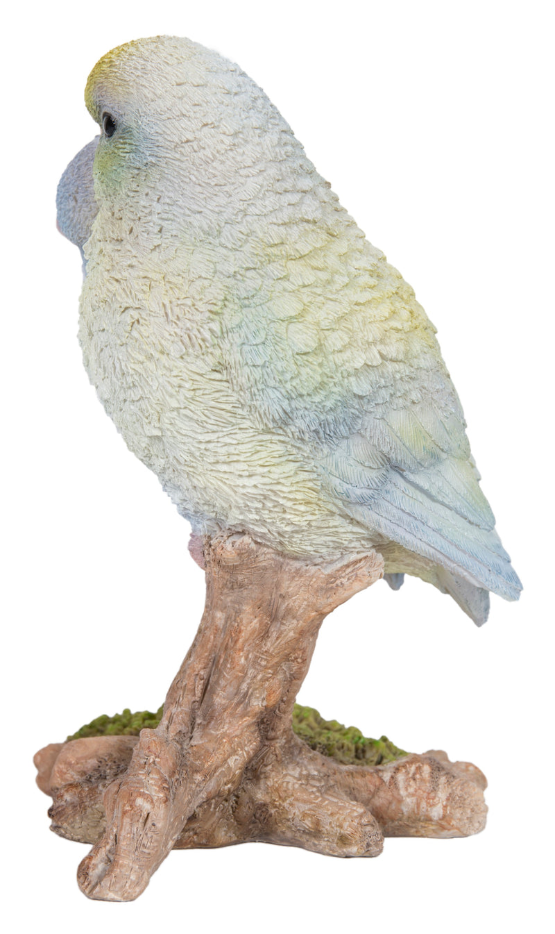 Pacific Parrot Couple on Branch HI-LINE GIFT LTD.