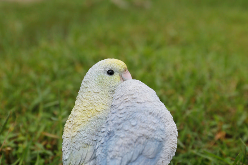 Pacific Parrot Couple on Branch HI-LINE GIFT LTD.