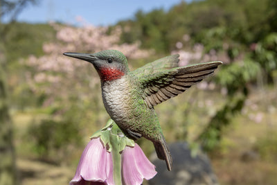 Hummingbird On Foxglove Statue HI-LINE GIFT LTD.