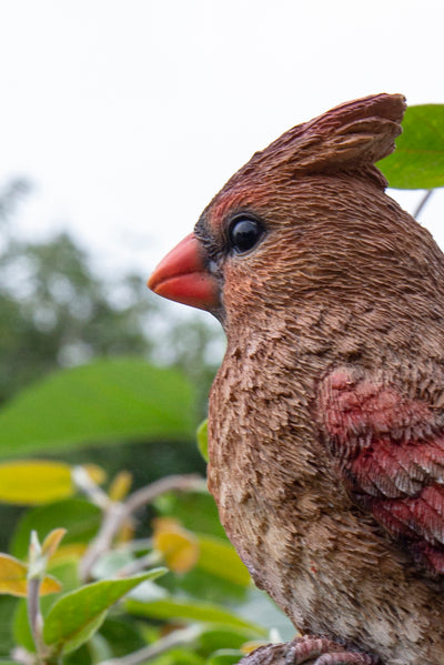 Female Cardinal Resting on Stump Garden Statue HI-LINE GIFT LTD.