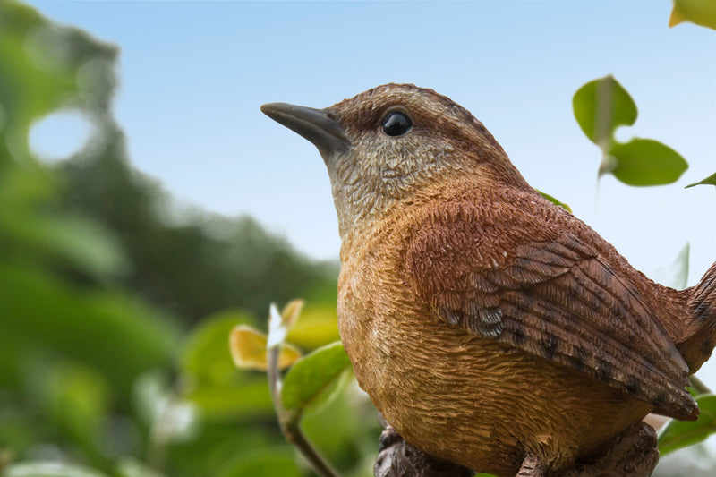 Carolina Wren on stump Garden Statue HI-LINE GIFT LTD.