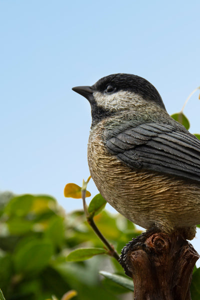 Chickadee Peeking on stump Garden Statue HI-LINE GIFT LTD.