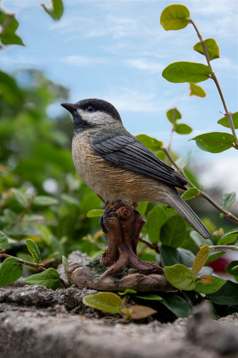 Chickadee Peeking on stump Garden Statue HI-LINE GIFT LTD.