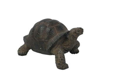 Small Tortoise Hi-Line Gift Ltd.