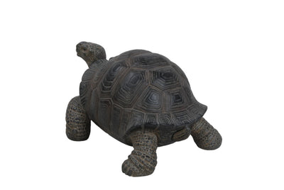 Small Tortoise Hi-Line Gift Ltd.